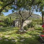 Verd Vall De Colonya * Pollenca