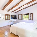 Verd Vall De Colonya