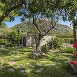 Verd Vall De Colonya Pollenca
