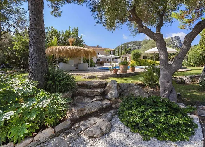 Verd Vall De Colonya